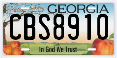 GA license plate CBS8910