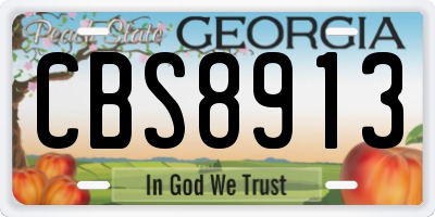 GA license plate CBS8913