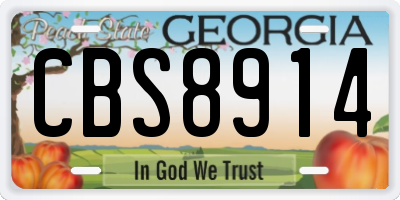 GA license plate CBS8914