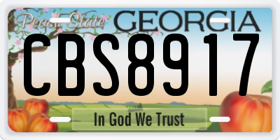 GA license plate CBS8917