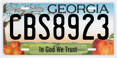 GA license plate CBS8923
