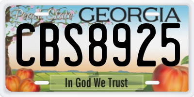 GA license plate CBS8925