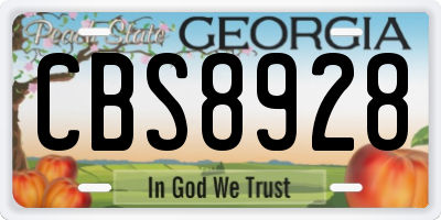 GA license plate CBS8928