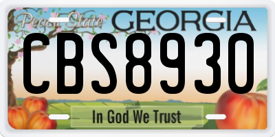 GA license plate CBS8930