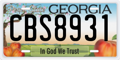 GA license plate CBS8931