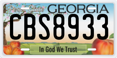 GA license plate CBS8933