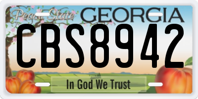 GA license plate CBS8942
