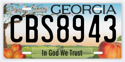GA license plate CBS8943