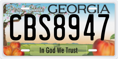 GA license plate CBS8947