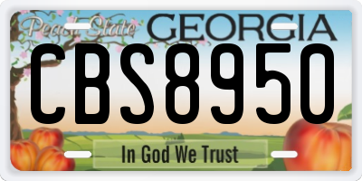 GA license plate CBS8950