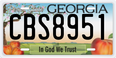 GA license plate CBS8951