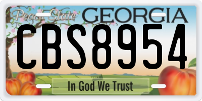GA license plate CBS8954