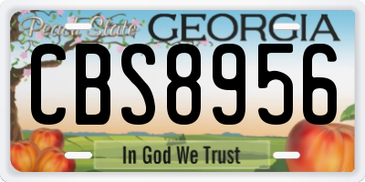 GA license plate CBS8956