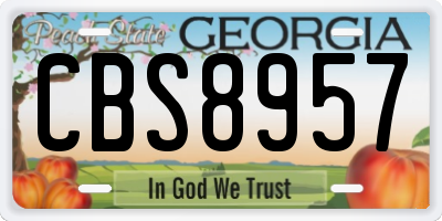 GA license plate CBS8957