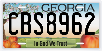 GA license plate CBS8962