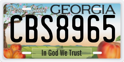 GA license plate CBS8965