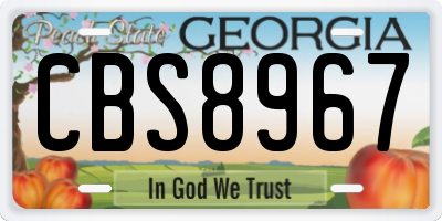 GA license plate CBS8967