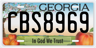 GA license plate CBS8969