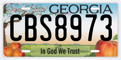 GA license plate CBS8973