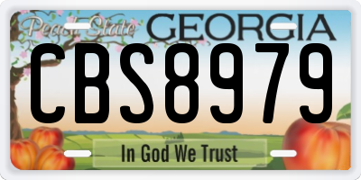 GA license plate CBS8979