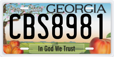GA license plate CBS8981