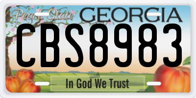 GA license plate CBS8983