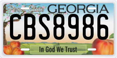 GA license plate CBS8986