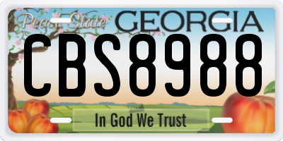 GA license plate CBS8988