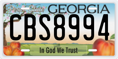 GA license plate CBS8994