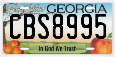 GA license plate CBS8995