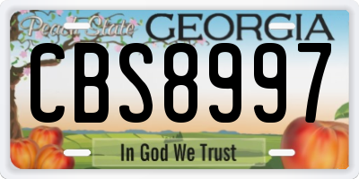 GA license plate CBS8997