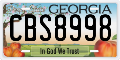 GA license plate CBS8998