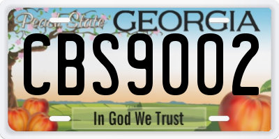 GA license plate CBS9002