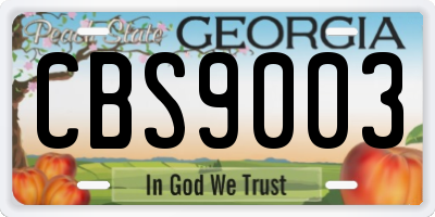 GA license plate CBS9003
