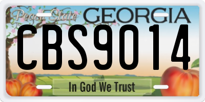 GA license plate CBS9014
