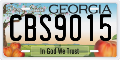 GA license plate CBS9015