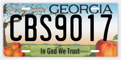 GA license plate CBS9017