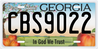 GA license plate CBS9022