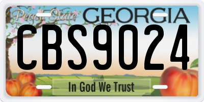 GA license plate CBS9024