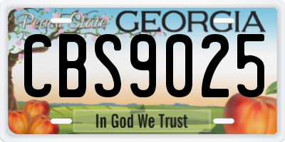 GA license plate CBS9025