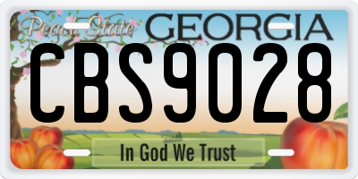 GA license plate CBS9028