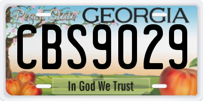 GA license plate CBS9029