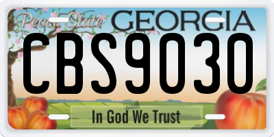 GA license plate CBS9030