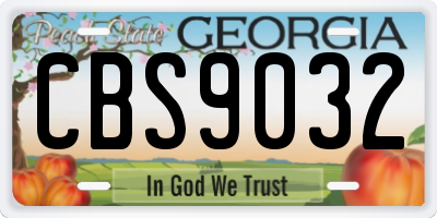 GA license plate CBS9032