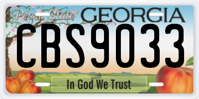 GA license plate CBS9033