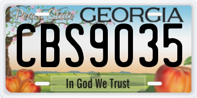 GA license plate CBS9035