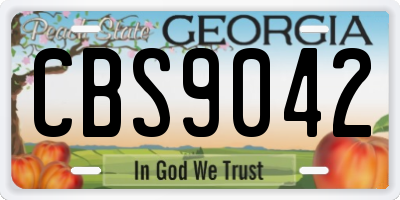 GA license plate CBS9042