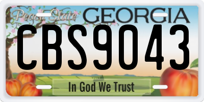 GA license plate CBS9043