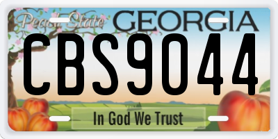 GA license plate CBS9044