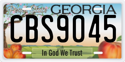 GA license plate CBS9045